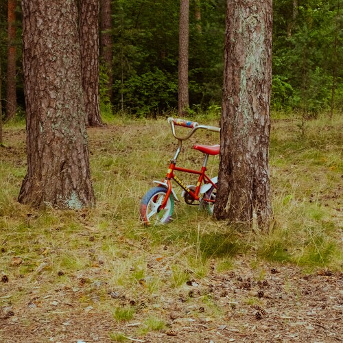 Photo #13917608