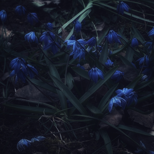 Photo #13917620