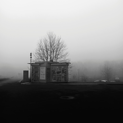 Photo #13917749