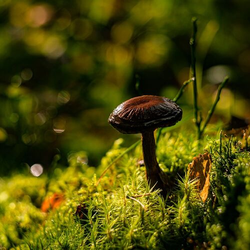 Photo #13917769