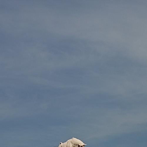 Photo #13917795