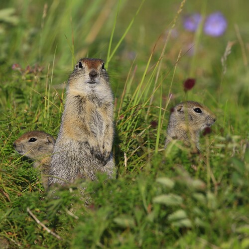 Photo #13917906