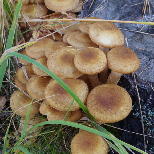 Photo #13917925