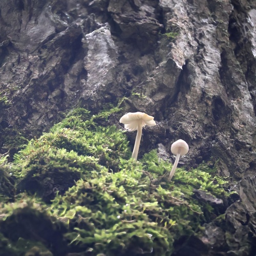 Photo #13918105