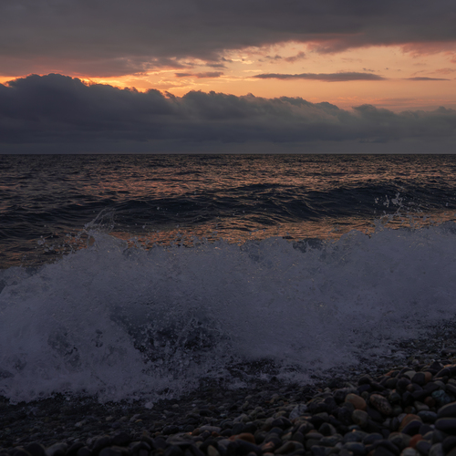 Photo #13918142