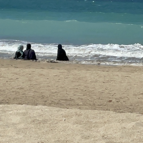 Photo #13918271