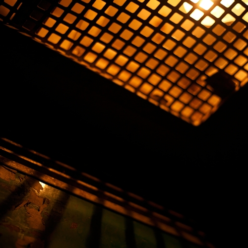 Photo #13918284