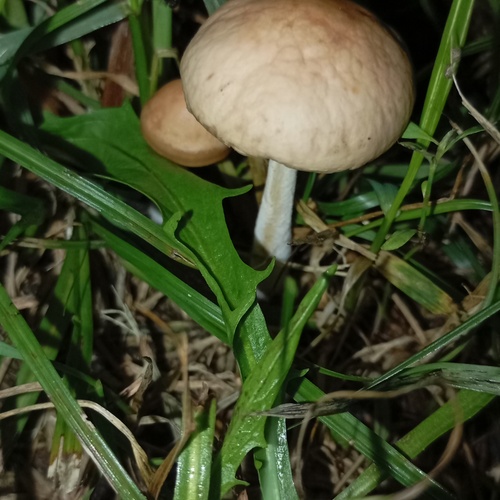 Photo #13918326