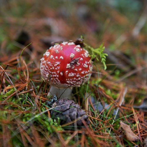 Photo #13918427