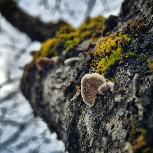Photo #13918444