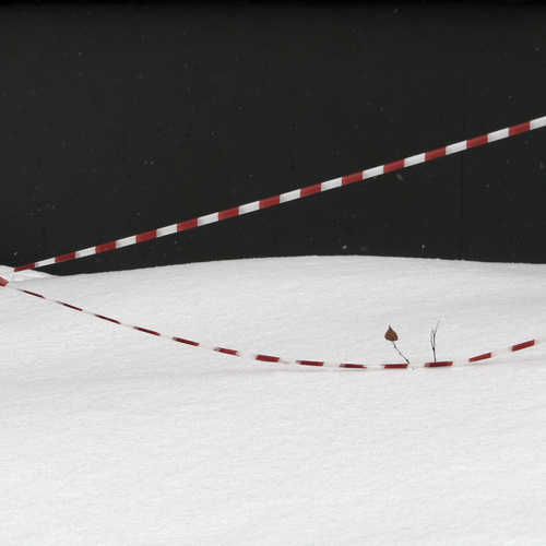 Photo #13918507