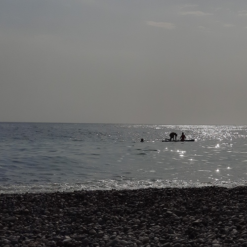 Photo #13918692