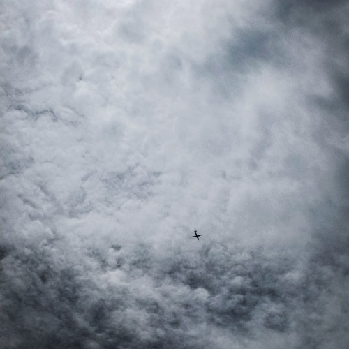Photo #13918701
