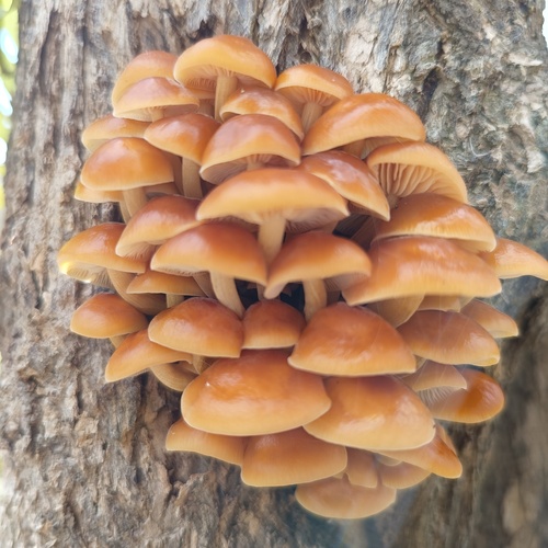 Photo #13918729