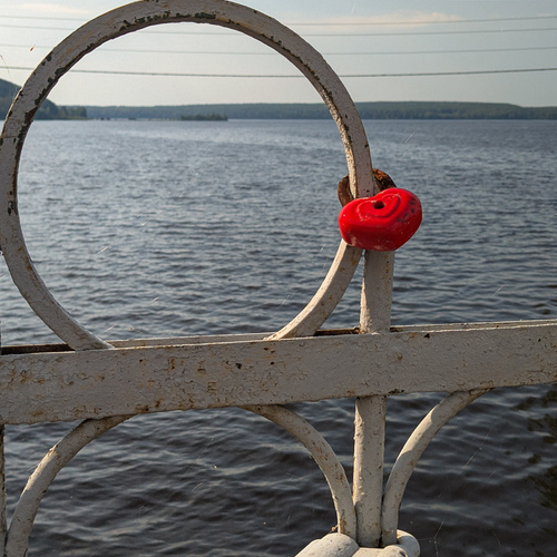 Photo #13918756