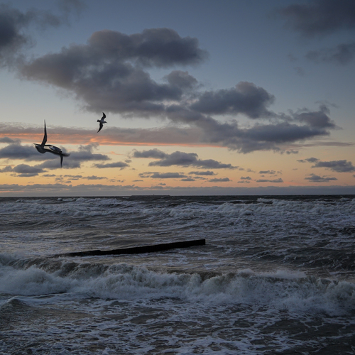 Photo #13918773