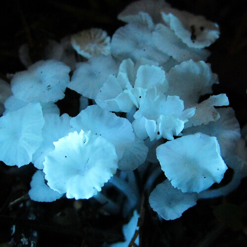 Photo #13918978