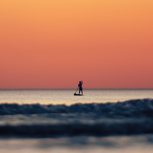 Photo #13919035