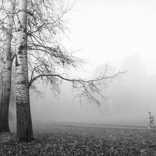 Photo #13919063