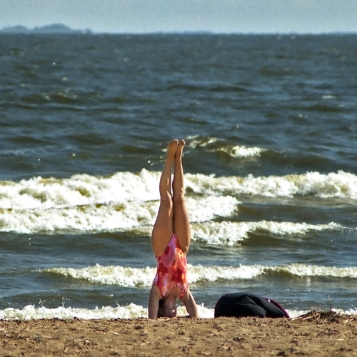 Photo #13919065