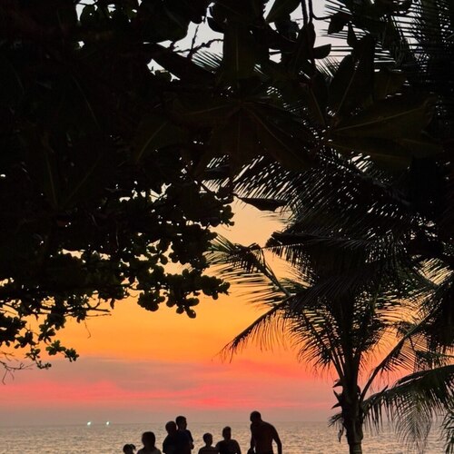 Photo #13919071