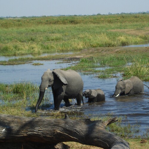 Photo #13919094
