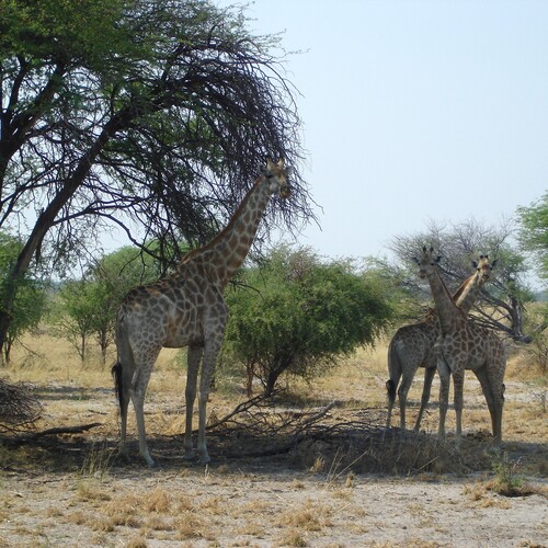Photo #13919095
