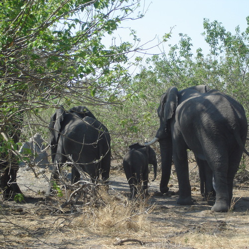Photo #13919099