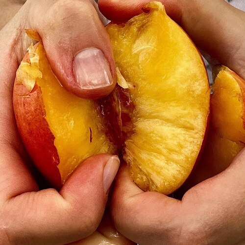 Photo #13919150