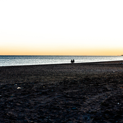 Photo #13919291
