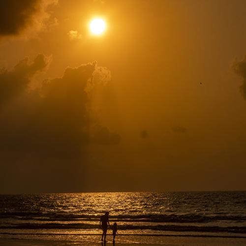 Photo #13919363
