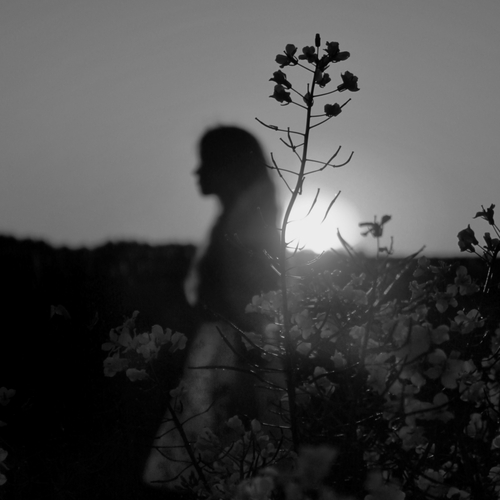 Photo #13919427