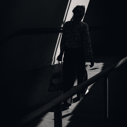 Photo #13919533