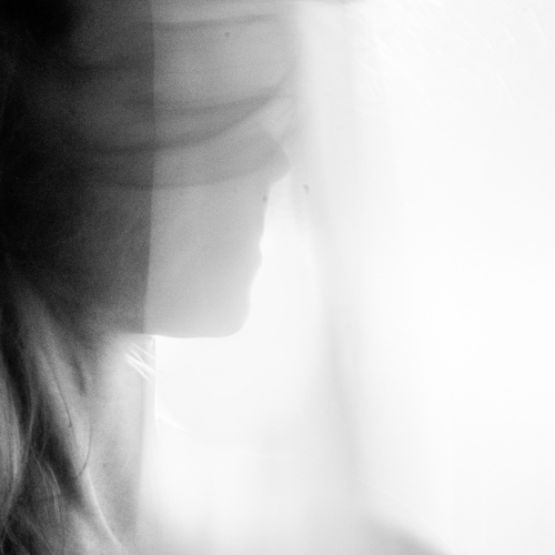 Photo #13919559