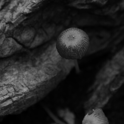 Photo #13919576