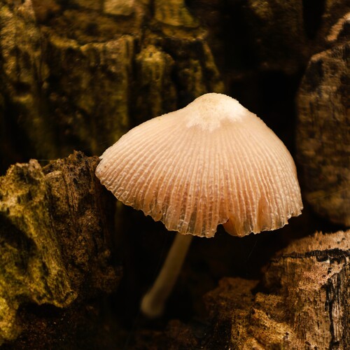Photo #13919588
