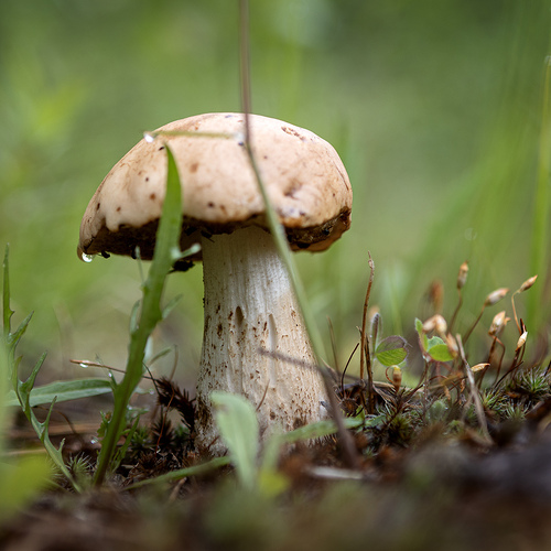 Photo #13919655