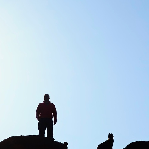 Photo #13919685