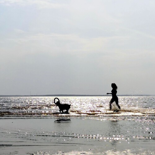 Photo #13919686