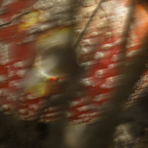 Photo #13919783