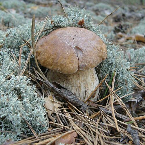 Photo #13920033