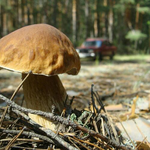 Photo #13920038