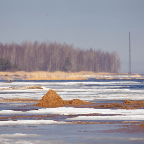 Photo #13920068