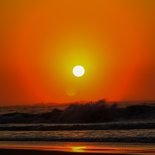 Photo #13920094