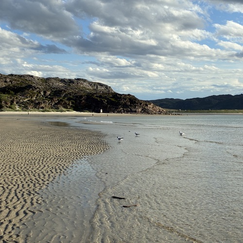 Photo #13920146