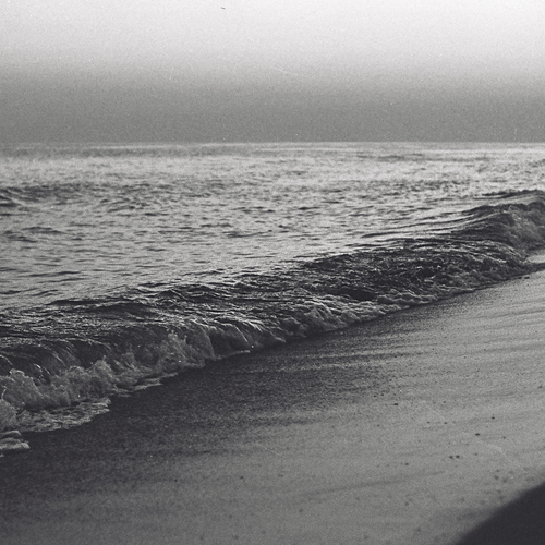 Photo #13920158