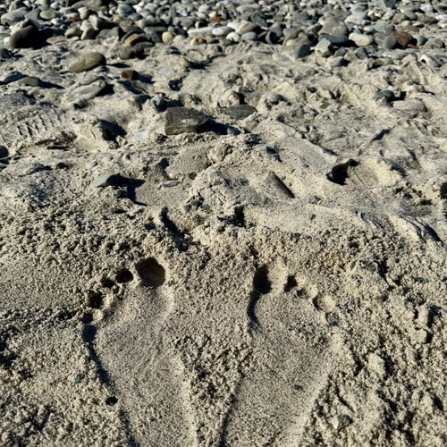 Photo #13920210