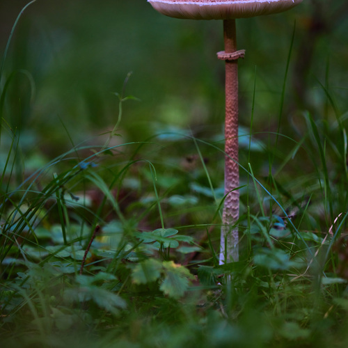 Photo #13920219