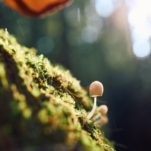 Photo #13920223