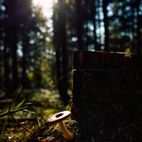 Photo #13920224